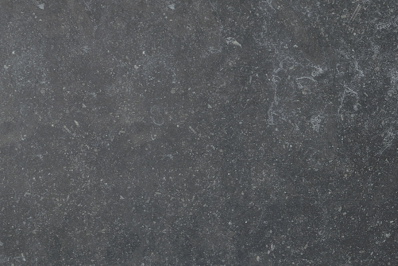 TOILA INC 1LANNNE2436T stone tile and slab material