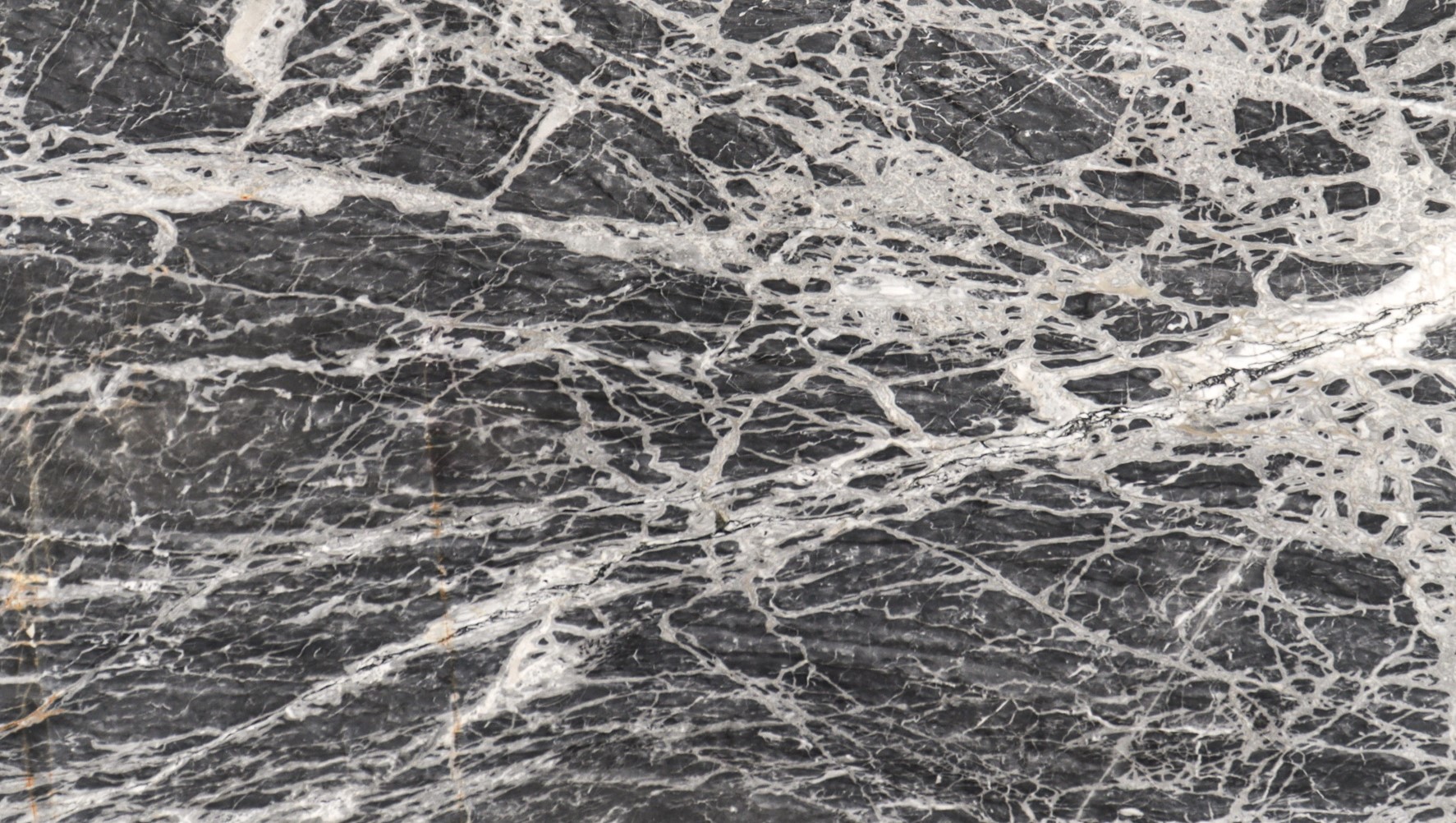 TOILA INC Item Img 2SLABTY2CMP Copy stone tile and slab material