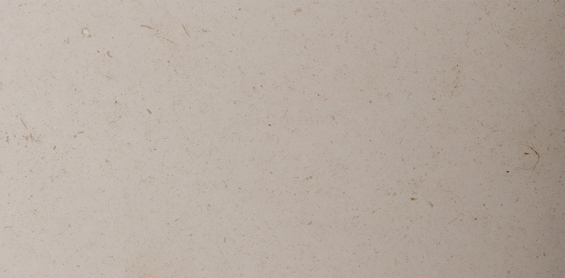 TOILA INC Item Img 2LIMPWH1224 A metadata stone tile and slab material