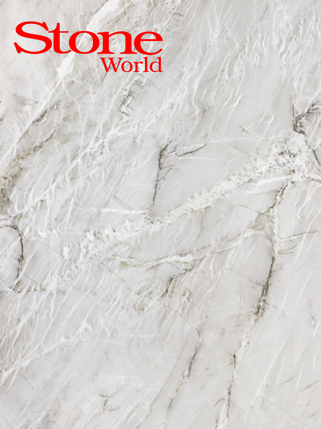 TOILA INC stoneworldmention jan2025 stone tile and slab material